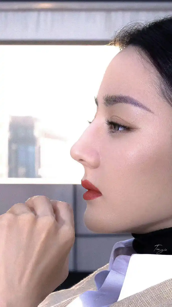 波斯猫下载界面截图